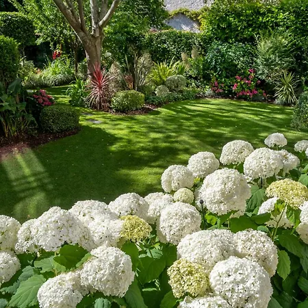 펜션 Escale Rochelaise, Urbain Avec Bain Nordique Et Sauna Tonneau